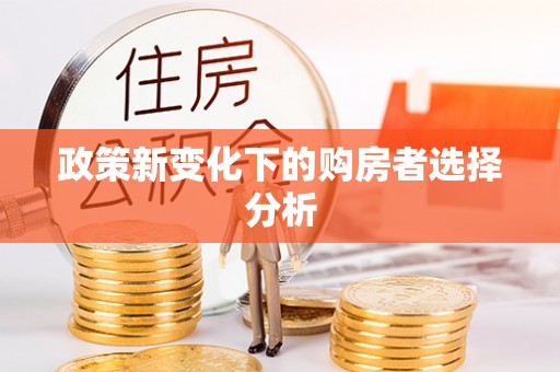 芷江政策新变化下的购房者选择分析