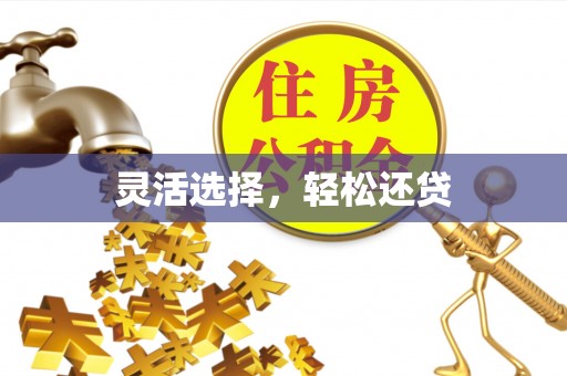 芷江灵活选择，轻松还贷