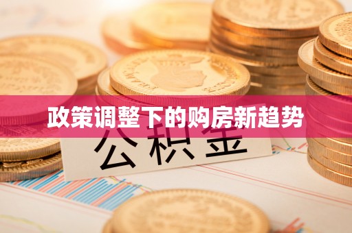 芷江政策调整下的购房新趋势