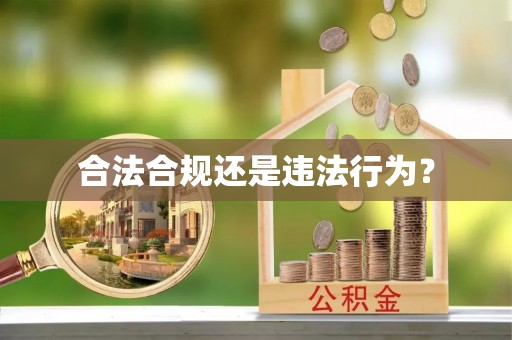 芷江合法合规还是违法行为？