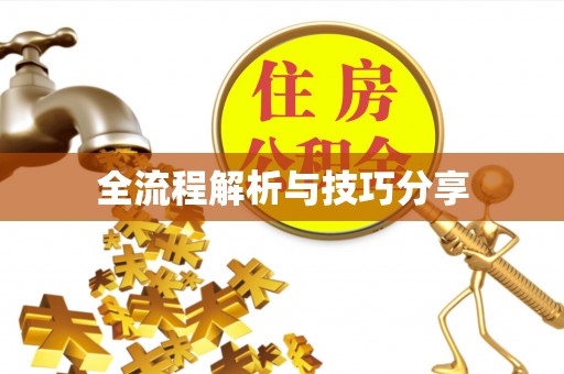 芷江全流程解析与技巧分享